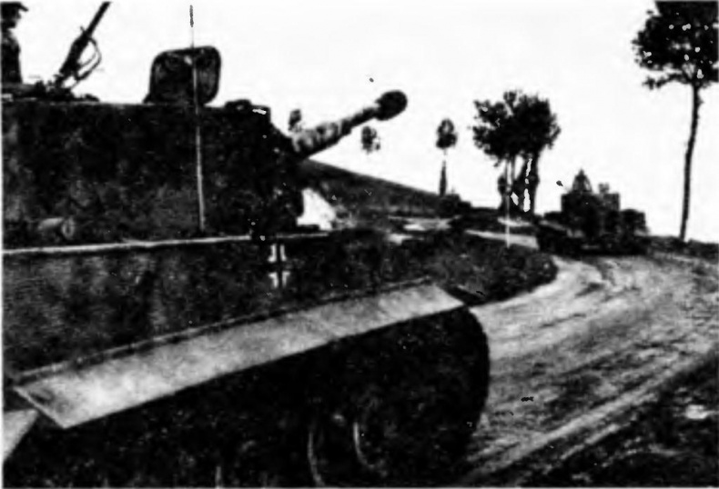 Иллюстрация к книге — Танковый ас №1 Михаэль Виттманн [img_3.jpg]