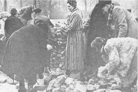 Иллюстрация к книге — 100 дней в кровавом аду. Будапешт - "дунайский Сталинград"? [i_014.jpg]