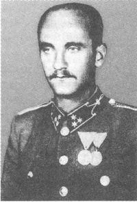 Иллюстрация к книге — 100 дней в кровавом аду. Будапешт - "дунайский Сталинград"? [i_039.jpg]