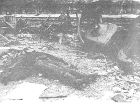 Иллюстрация к книге — 100 дней в кровавом аду. Будапешт - "дунайский Сталинград"? [i_071.jpg]