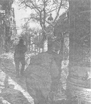 Иллюстрация к книге — 100 дней в кровавом аду. Будапешт - "дунайский Сталинград"? [i_074.jpg]