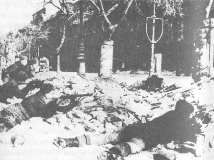 Иллюстрация к книге — 100 дней в кровавом аду. Будапешт - "дунайский Сталинград"? [i_083.jpg]