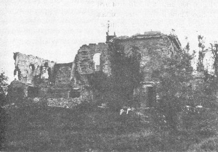 Иллюстрация к книге — 100 дней в кровавом аду. Будапешт - "дунайский Сталинград"? [i_089.jpg]