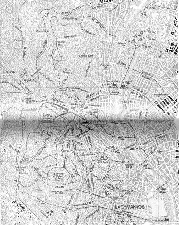 Иллюстрация к книге — 100 дней в кровавом аду. Будапешт - "дунайский Сталинград"? [i_094.jpg]