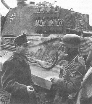 Иллюстрация к книге — 100 дней в кровавом аду. Будапешт - "дунайский Сталинград"? [i_100.jpg]