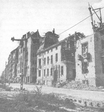 Иллюстрация к книге — 100 дней в кровавом аду. Будапешт - "дунайский Сталинград"? [i_101.jpg]