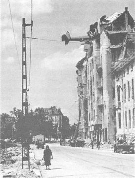 Иллюстрация к книге — 100 дней в кровавом аду. Будапешт - "дунайский Сталинград"? [i_103.jpg]