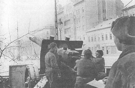 Иллюстрация к книге — 100 дней в кровавом аду. Будапешт - "дунайский Сталинград"? [i_105.jpg]