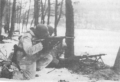 Иллюстрация к книге — 100 дней в кровавом аду. Будапешт - "дунайский Сталинград"? [i_108.jpg]