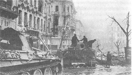 Иллюстрация к книге — 100 дней в кровавом аду. Будапешт - "дунайский Сталинград"? [i_113.jpg]