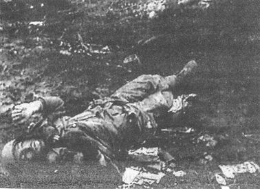 Иллюстрация к книге — 100 дней в кровавом аду. Будапешт - "дунайский Сталинград"? [i_115.jpg]