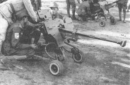 Иллюстрация к книге — "Фаустники" в бою [i_101.jpg]