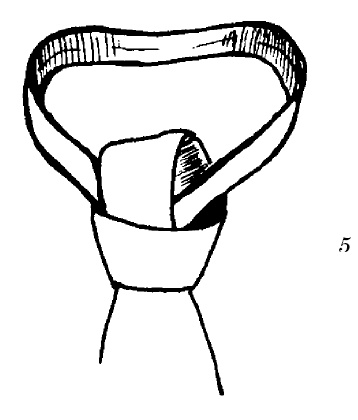 Иллюстрация к книге — Шарфик, платочек, парео. Как красиво и модно повязать [i_056.jpg]