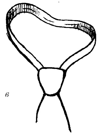 Иллюстрация к книге — Шарфик, платочек, парео. Как красиво и модно повязать [i_057.jpg]