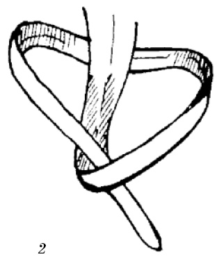 Иллюстрация к книге — Шарфик, платочек, парео. Как красиво и модно повязать [i_147.jpg]