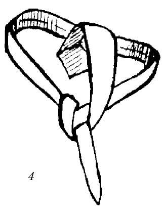 Иллюстрация к книге — Шарфик, платочек, парео. Как красиво и модно повязать [i_149.jpg]