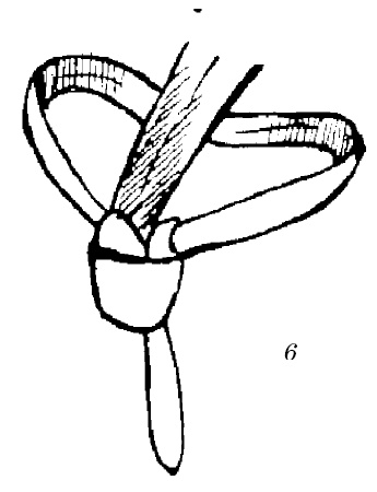 Иллюстрация к книге — Шарфик, платочек, парео. Как красиво и модно повязать [i_151.jpg]