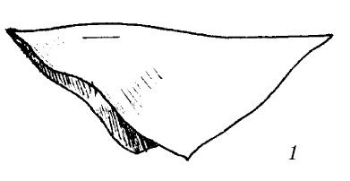 Иллюстрация к книге — Шарфик, платочек, парео. Как красиво и модно повязать [i_159.jpg]