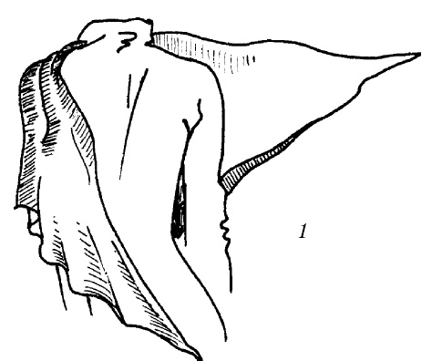 Иллюстрация к книге — Шарфик, платочек, парео. Как красиво и модно повязать [i_163.jpg]