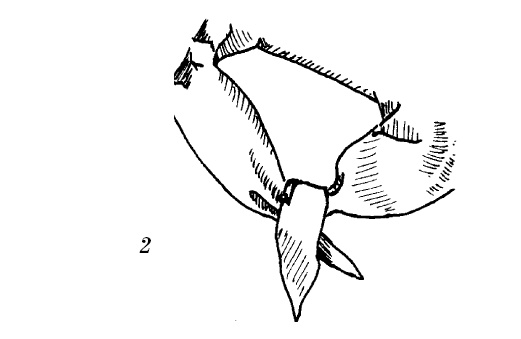 Иллюстрация к книге — Шарфик, платочек, парео. Как красиво и модно повязать [i_183.jpg]