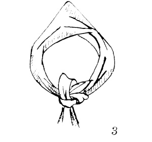 Иллюстрация к книге — Шарфик, платочек, парео. Как красиво и модно повязать [i_188.jpg]