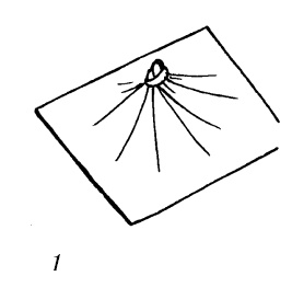 Иллюстрация к книге — Шарфик, платочек, парео. Как красиво и модно повязать [i_207.jpg]