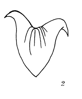 Иллюстрация к книге — Шарфик, платочек, парео. Как красиво и модно повязать [i_208.jpg]