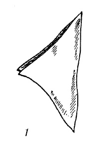 Иллюстрация к книге — Шарфик, платочек, парео. Как красиво и модно повязать [i_218.jpg]