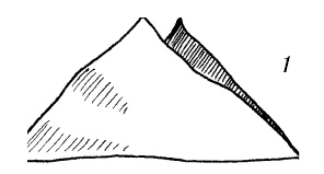 Иллюстрация к книге — Шарфик, платочек, парео. Как красиво и модно повязать [i_236.jpg]