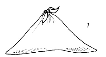 Иллюстрация к книге — Шарфик, платочек, парео. Как красиво и модно повязать [i_243.jpg]