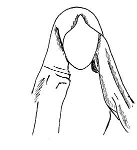 Иллюстрация к книге — Шарфик, платочек, парео. Как красиво и модно повязать [i_261.jpg]