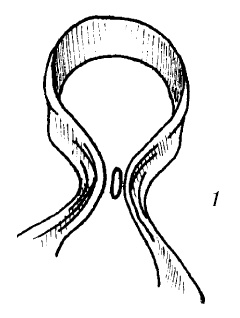 Иллюстрация к книге — Шарфик, платочек, парео. Как красиво и модно повязать [i_310.jpg]