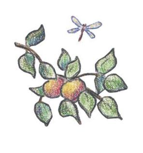 Иллюстрация к книге — Еня и Еля. Летние истории [b00000316.jpg]