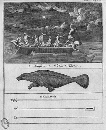 Иллюстрация к книге — Пиратские одиссеи Франсуа Олоне [i_026.jpg]