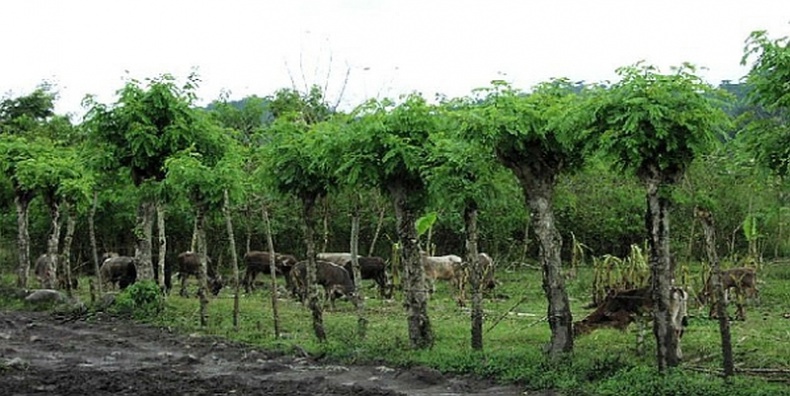 Иллюстрация к книге — Фортуна Джона Коксона [i_006.jpg]