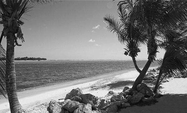 Иллюстрация к книге — 100 великих пиратов [_82.jpg]