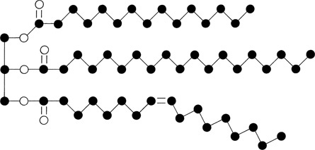 Иллюстрация к книге — О чем Эйнштейн рассказал своему повару [i_003.jpg]