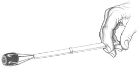 Иллюстрация к книге — О чем Эйнштейн рассказал своему повару [i_006.jpg]