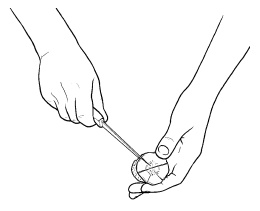 Иллюстрация к книге — Оригинальные украшения из овощей и фруктов [i_005.jpg]