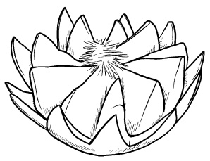 Иллюстрация к книге — Оригинальные украшения из овощей и фруктов [i_012.jpg]