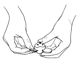 Иллюстрация к книге — Оригинальные украшения из овощей и фруктов [i_015.jpg]