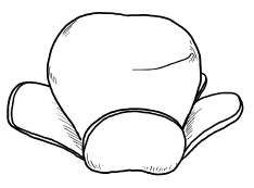 Иллюстрация к книге — Оригинальные украшения из овощей и фруктов [i_028.jpg]