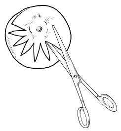 Иллюстрация к книге — Оригинальные украшения из овощей и фруктов [i_032.jpg]