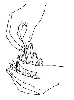 Иллюстрация к книге — Оригинальные украшения из овощей и фруктов [i_036.jpg]