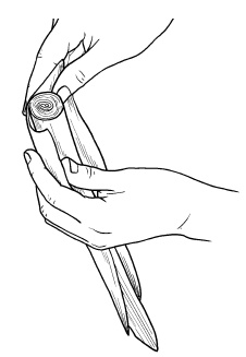 Иллюстрация к книге — Оригинальные украшения из овощей и фруктов [i_046.jpg]