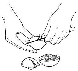 Иллюстрация к книге — Оригинальные украшения из овощей и фруктов [i_057.jpg]