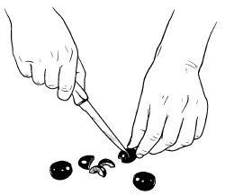 Иллюстрация к книге — Оригинальные украшения из овощей и фруктов [i_058.jpg]