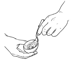 Иллюстрация к книге — Оригинальные украшения из овощей и фруктов [i_062.jpg]