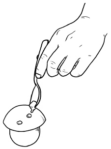 Иллюстрация к книге — Оригинальные украшения из овощей и фруктов [i_063.jpg]