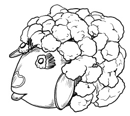 Иллюстрация к книге — Оригинальные украшения из овощей и фруктов [i_069.jpg]